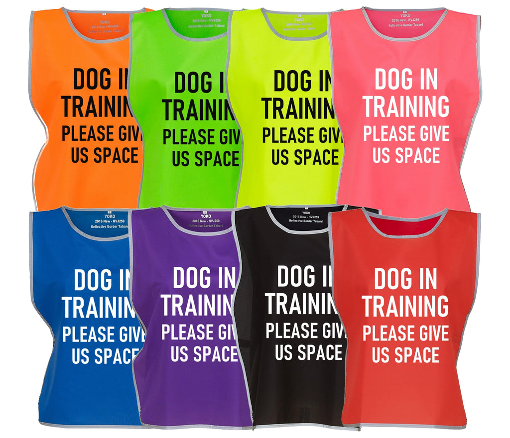 Kids & Adults Dog In Training Hi-Vis Tabard Waistcoat Reflective Walking Safety Vest