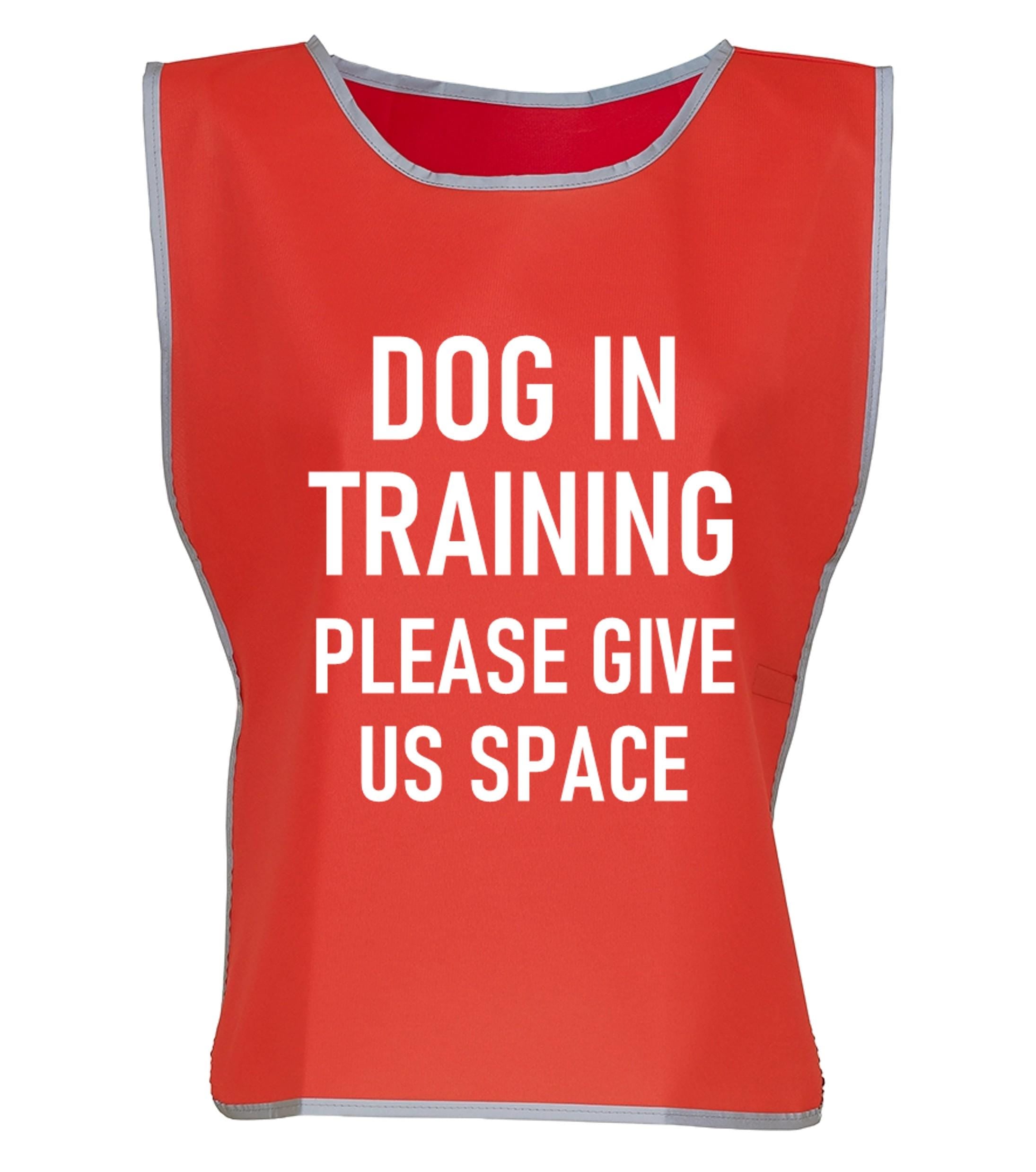 Kids & Adults Dog In Training Hi-Vis Tabard Waistcoat Reflective Walking Safety Vest