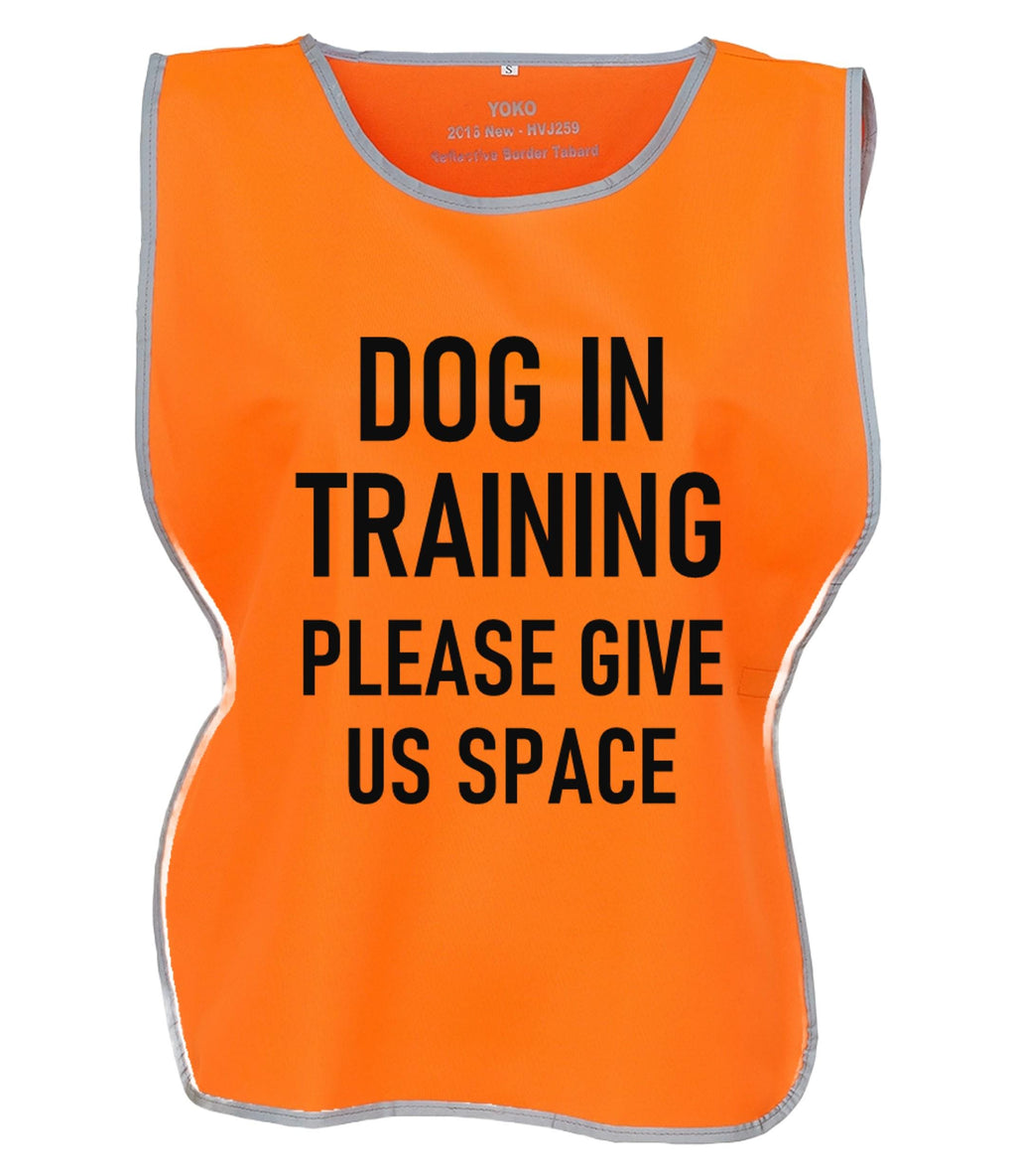 Kids & Adults Dog In Training Hi-Vis Tabard Waistcoat Reflective Walking Safety Vest