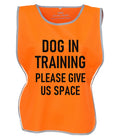 Kids & Adults Dog In Training Hi-Vis Tabard Waistcoat Reflective Walking Safety Vest