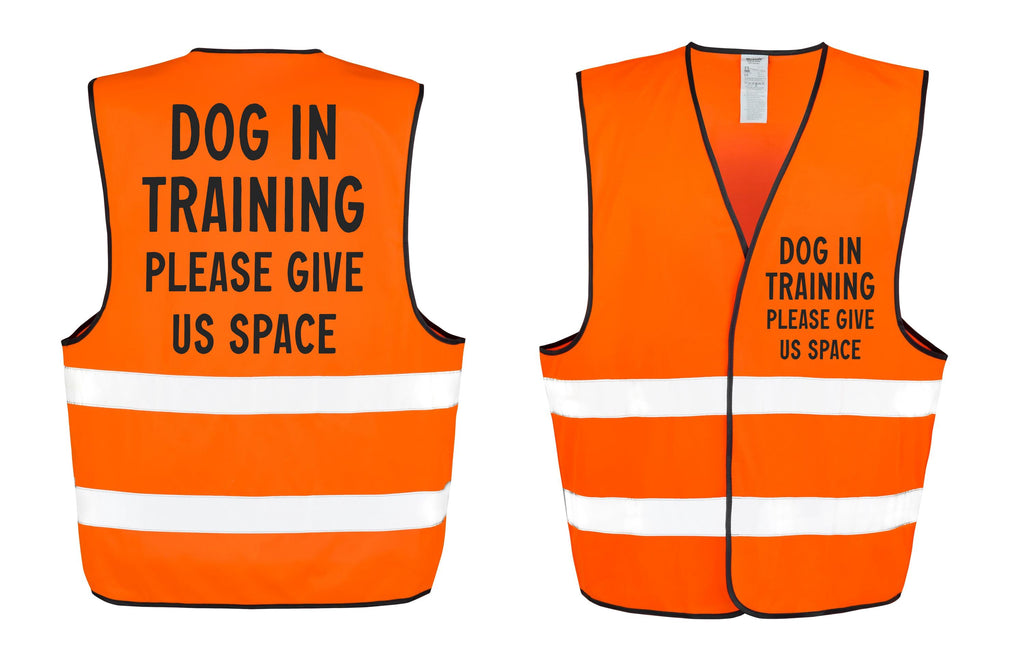 Dog In Training Walking Hi-Vis Waistcoat Reflective Safety Vest