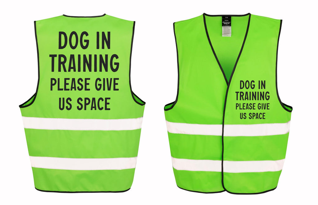 Dog In Training Walking Hi-Vis Waistcoat Reflective Safety Vest