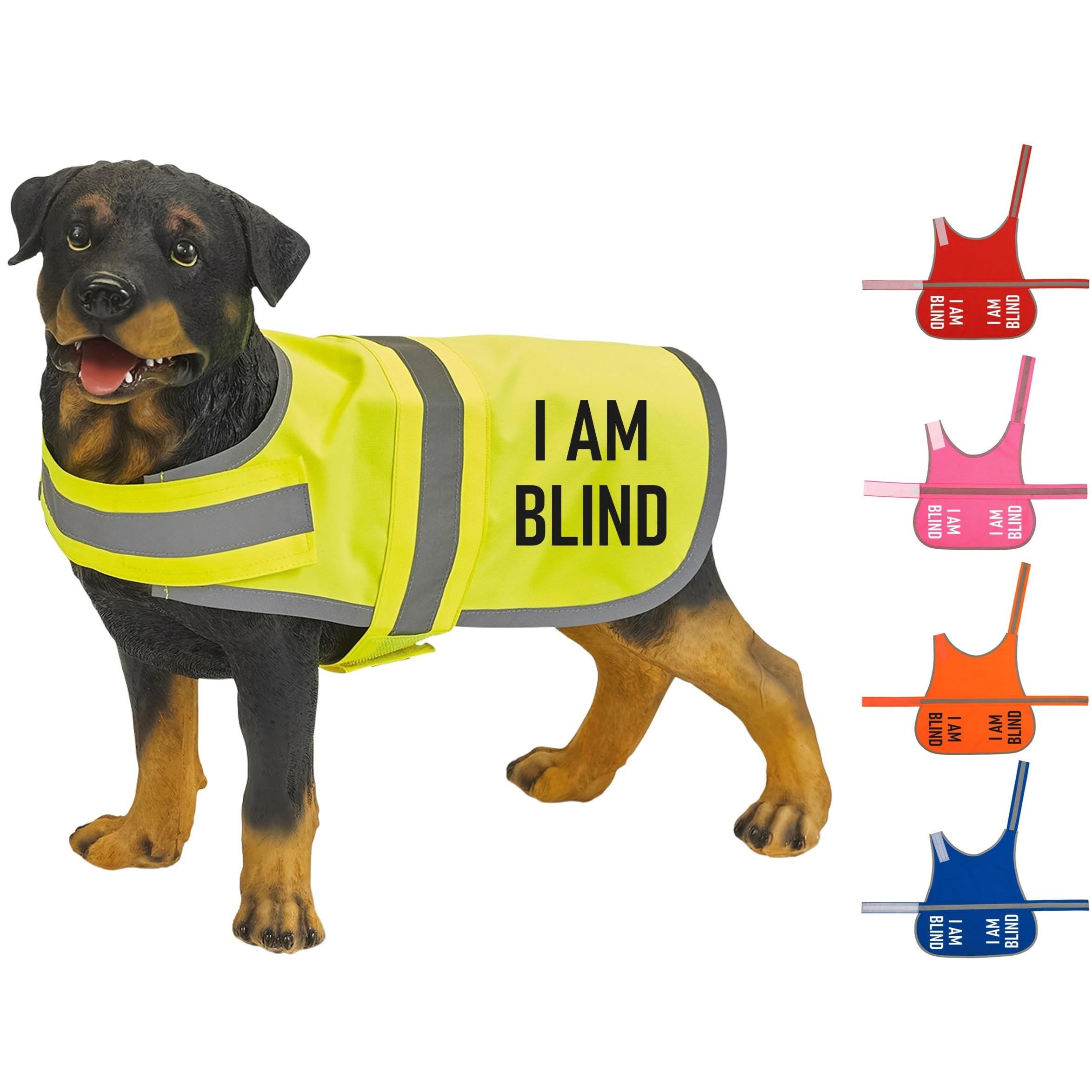 I Am Blind Hi-Vis Dog Vest Walking Training Reflective Safety Jacket Scared Reactive