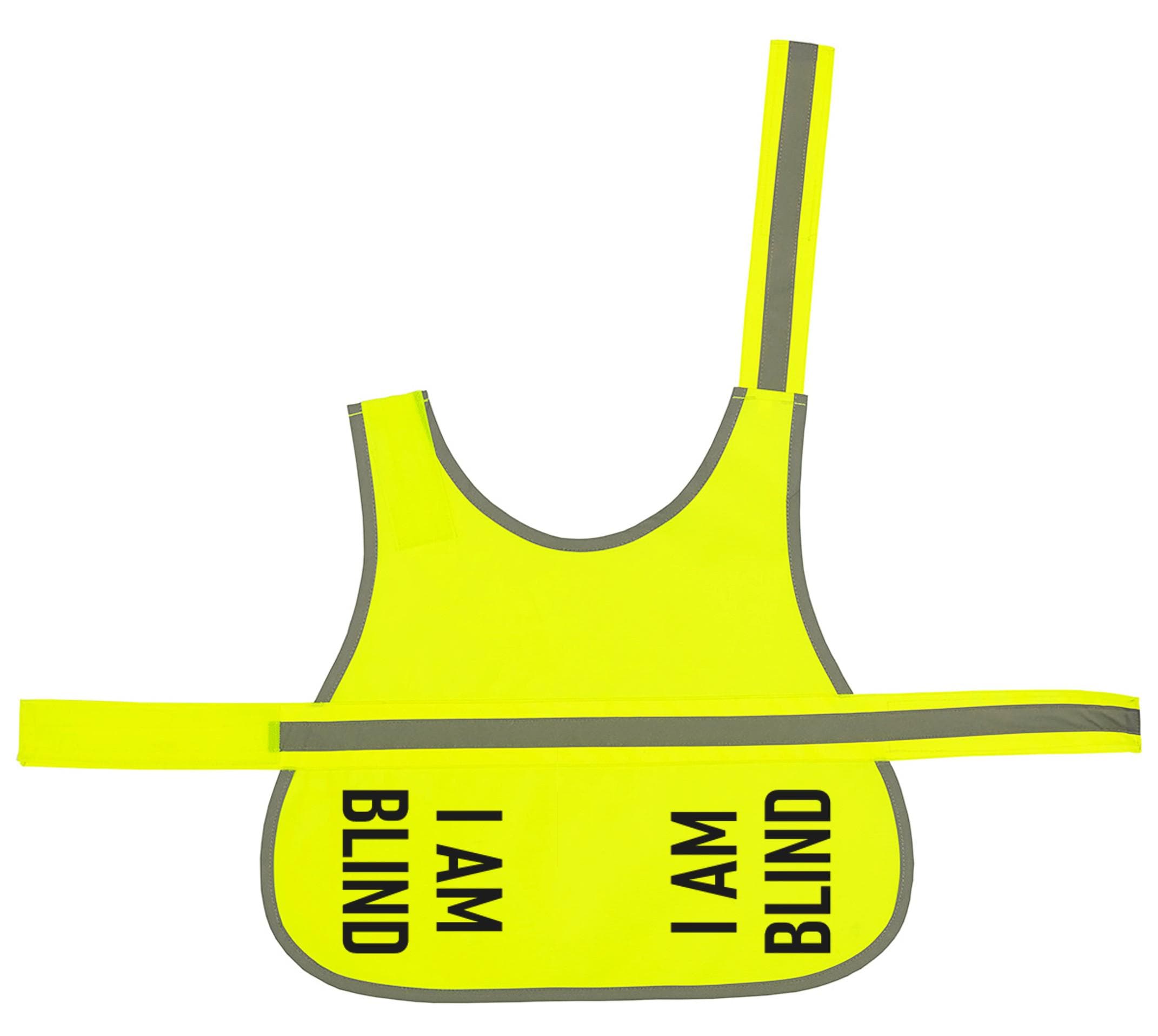 I Am Blind Hi-Vis Dog Vest Walking Training Reflective Safety Jacket Scared Reactive
