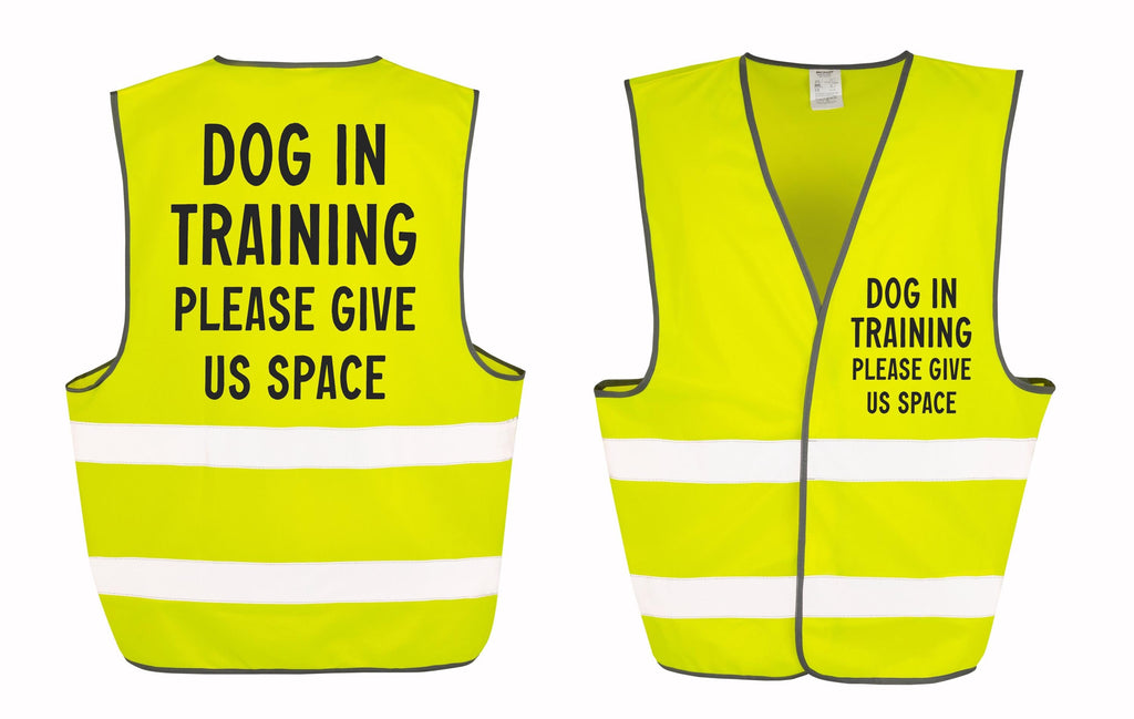 Dog In Training Walking Hi-Vis Waistcoat Reflective Safety Vest