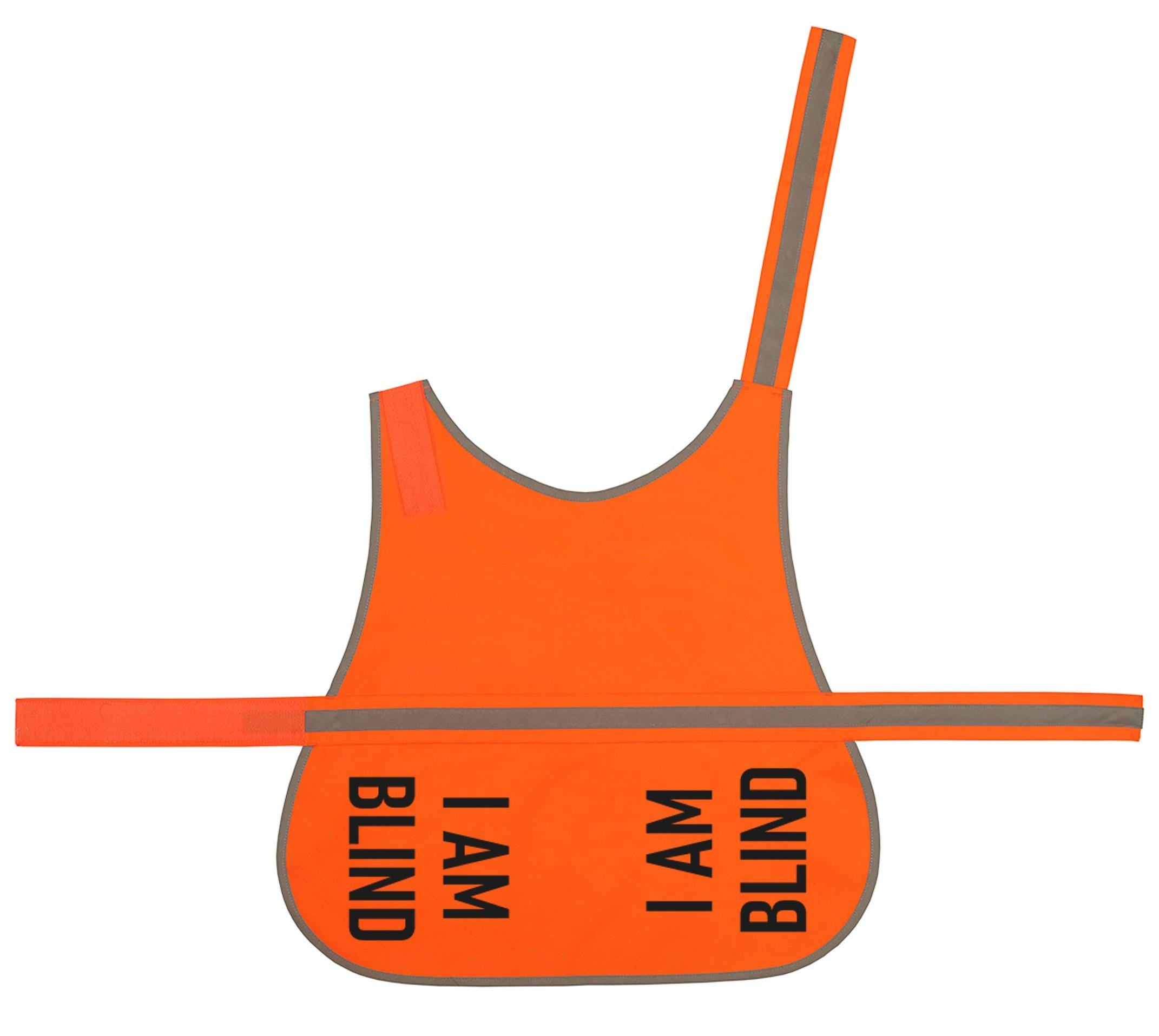 I Am Blind Hi-Vis Dog Vest Walking Training Reflective Safety Jacket Scared Reactive