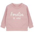 Embroidered Personalised Name Is One Baby and Toddler Girls Pink Sustainable Sweatshirts 1st Birthday Party Outfit Gift