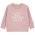 Embroidered Proud Member Of The Big Sister Club Girls Sustainable Sweatshirts Toddler and Kids Pink New Sister Gift