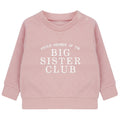Embroidered Proud Member Of The Big Sister Club Girls Sustainable Sweatshirts Toddler and Kids Pink New Sister Gift