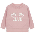 Embroidered Big Sister Club Girls Sustainable Sweatshirts Toddler and Kids New Baby Gift