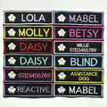 VELCRO® Patch To Fit Julius K9 Dog Harness Personalised Embroidered Custom Text Flower Floral Badge