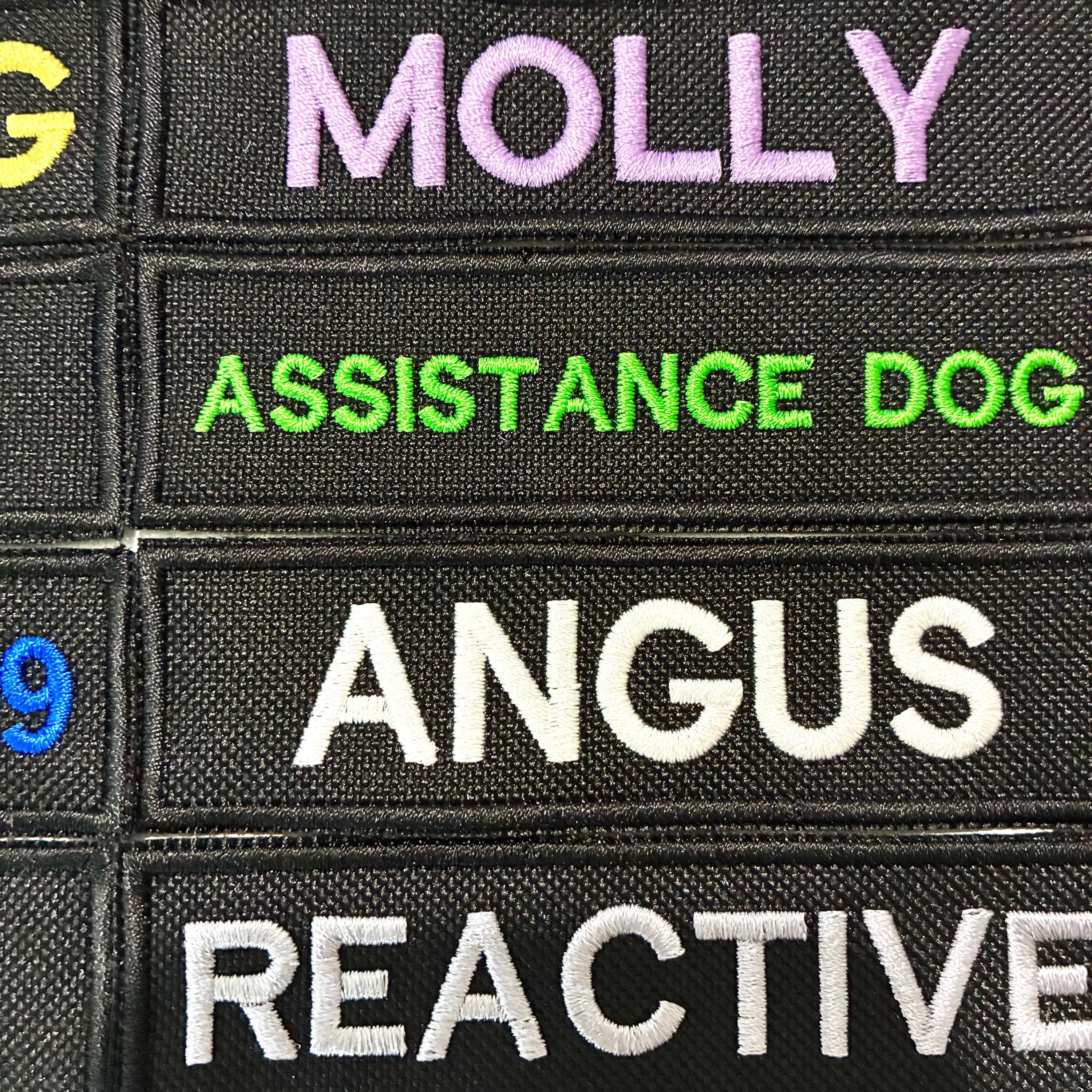 VELCRO® Patch To Fit Julius K9 Dog Harness Personalised Embroidered Custom Text Badge