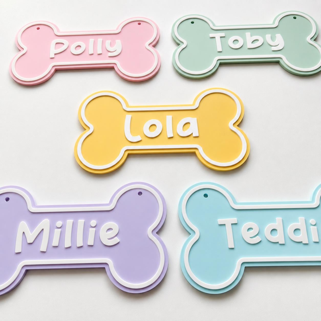 Personalised Dog Name Bone Sign – Custom Pet Crate Cage House Decoration Plate