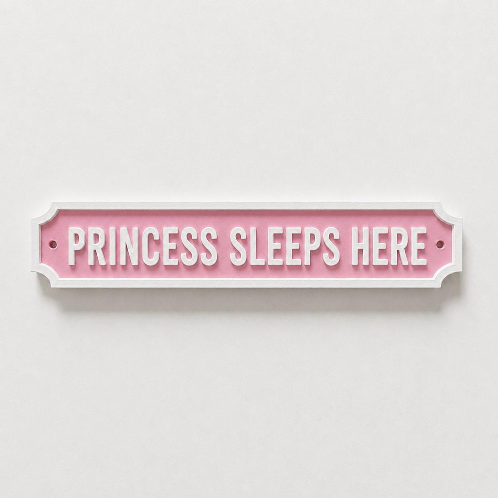 Princess Sleeps Here Sign Girls Pink Bedroom Decor Door Decoration Plate Plaque