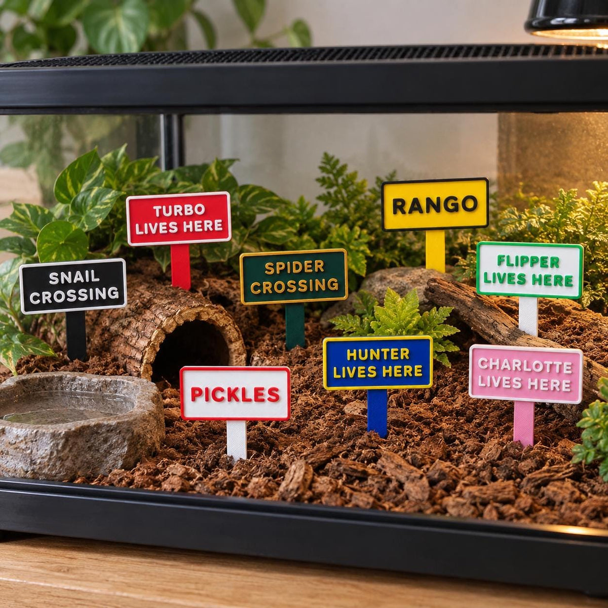 Personalised Pet Tank Name Sign Aquarium Vivarium Decoration Plaque Reptile Fish