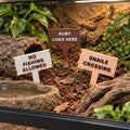 Personalised Pet Tank Name Sign Aquarium Vivarium Decoration Plaque Reptile Fish