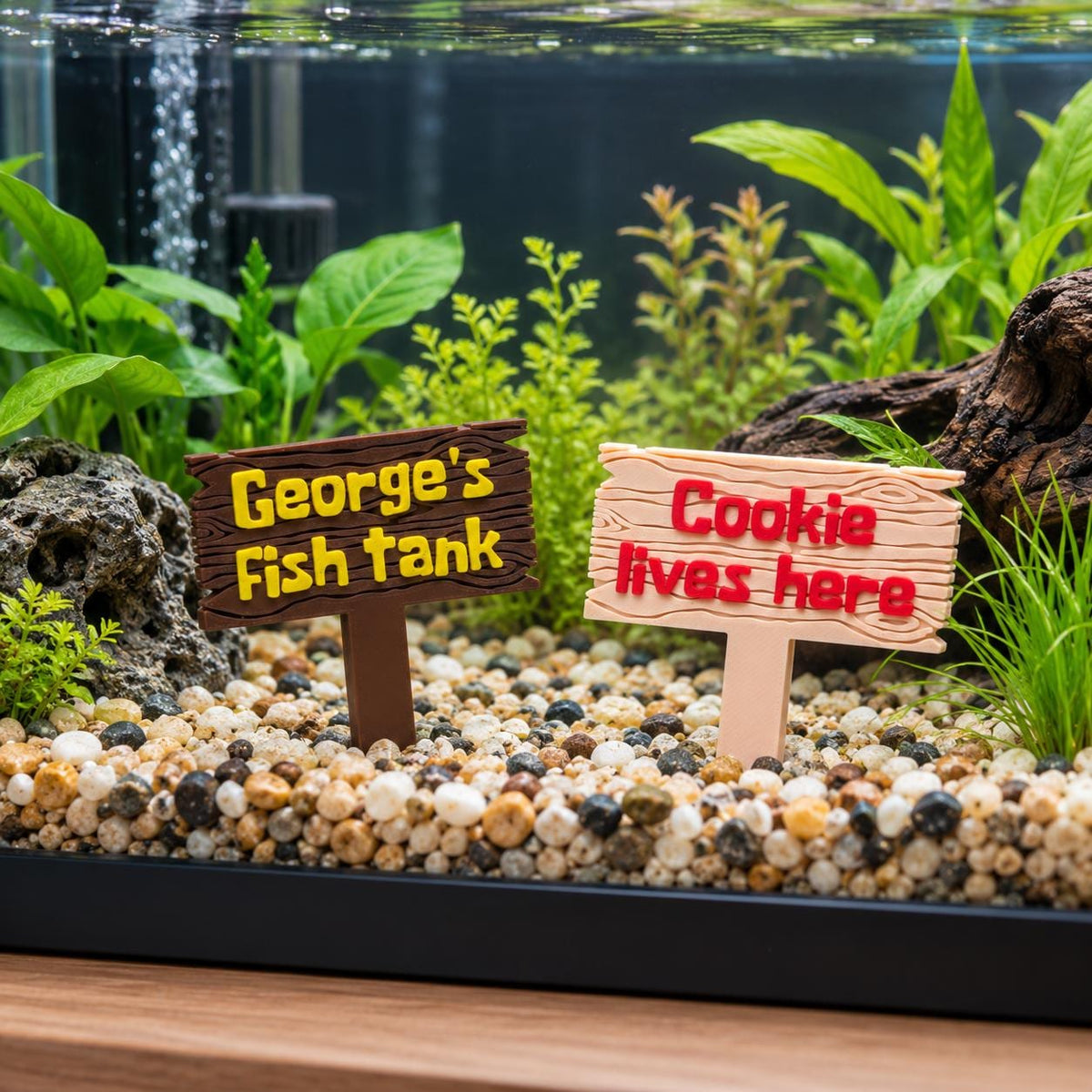 Personalised Pet Tank Name Sign Aquarium Vivarium Decoration Plaque Reptile Fish